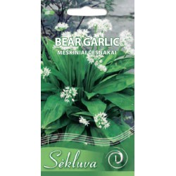 Meškiniai česnakai Bear Garlic